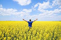 Free man in the field. The man raised his hands up. Field of flowering rape [IBR123999804]