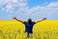 Free man in the field. The man raised his hands up. Field of flowering rape [IBR123999806]