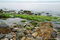 Coast of Brittany, Brittany, France [IBR123999811]