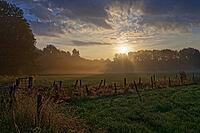 Sunrise over the forest and fields on the Lower Rhine, light fog over the meadows, Kempen, North Rhine-Westphalia, Germany [IBR123999831]