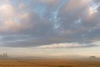 Early morning in the forest, and fields on the Lower Rhine, light fog over the fields, Kempen, North Rhine-Westphalia, Germany [IBR123999832]