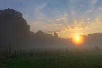 Sunrise over the forest and fields on the Lower Rhine, light fog over the meadows, Kempen, North Rhine-Westphalia, Germany [IBR123999834]