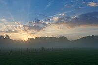 Sunrise over the forest and fields on the Lower Rhine, light fog over the meadows, Kempen, North Rhine-Westphalia, Germany [IBR123999837]
