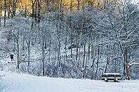Winterwald, Wuppertal, Bergisches Land, North Rhine-Westphalia, Germany [IBR123999864]