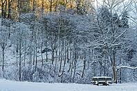 Winterwald, Wuppertal, Bergisches Land, North Rhine-Westphalia, Germany [IBR123999870]