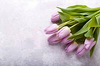 Bouquet of pink tulips in a wicker basket on light gray background [IBR123999873]