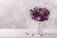 Bouquet of colorful aster flowers in a pitcher on white vintage background with copy space [IBR123999878]