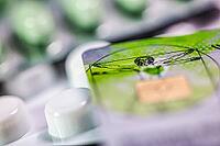 Electronic health card, health insurance card with tablets, medicine, close-up, studio shot, Germany [IBR123999885]