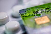 Electronic health card, health insurance card with tablets, medicine, close-up, studio shot, Germany [IBR123999888]