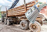 Timber carrier with large sawn logs at the wood storage place. Forest industry [IBR124036447]
