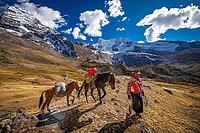 Indigenous guides with packhorses in front of the summit of Ausangate (Spanish) or Awsangati (Quechua) 6384 m, Ausangate Trek, Cordillera Vilcanota, Peru [IBR124036461]
