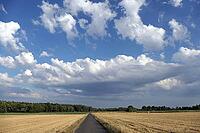 Feldweg [IBR124051660]