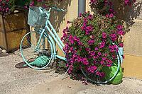 Bicycle with floral decoration [IBR124051667]