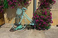 Bicycle with floral decoration [IBR124051669]