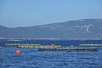 Fish farming near Krk [IBR124051674]