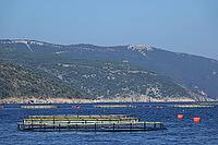Fish farming near Krk [IBR124051676]