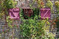 Window on Ile de Ré [IBR124051691]