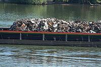 Cargo ship with scrap metal [IBR124051695]