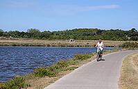 Cycling on the Ile de Re [IBR124051697]