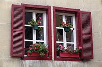 Window in Troyes [IBR124051716]