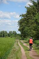 Cycling near Münster, Hesse [IBR124072687]