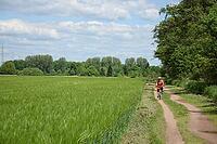 Cycling near Münster, Hesse [IBR124072690]