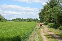 Cycling near Münster, Hesse [IBR124072692]