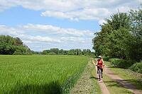Cycling near Münster, Hesse [IBR124072697]