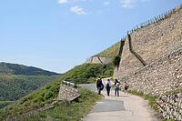Hiking near Rüdesheim [IBR124072729]