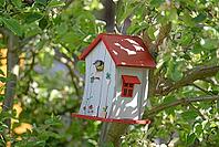 Tit and nesting box [IBR124072740]
