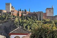 Alhambra fortress on hill with cypresses, Granada, Andalucia, Spain [IBR124084167]