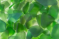 Green broken glass cut by the sea, sea glass, sea glass, beach glass from the North Sea [IBR124084169]