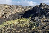 Brú Milli Heimsálfa, bridge between the continents, where the North American and Eurasian plates meet, West Iceland, Iceland [IBR124192730]