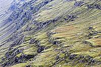 Mountain slope covered with mosses, near Lake Myvatn, northeast Iceland, Iceland [IBR124192767]