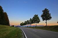 This atmospheric photo captures the peace and quiet of a Bavarian Alpine foothills at dusk. In the foreground, an asphalted road with border posts winds through the picture. A series of evenly grown deciduous trees line the rolling grass hill and forms a  [IBR124192777]