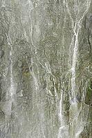 Close-up of Dettifoss, Jökulsargljufur Gorge, Jökulsargljufur National Park, North Iceland [IBR124192805]