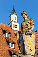 Medieval sculpture of Saint Florian with sign on the market fountain in baroque style, in the background the roof with clock on the small tower of the magnificent town hall in the old town of Biberach, Biberach an der Riß, Upper Swabia, Baden-Württemberg, [IBR124200501]