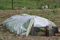 Greenhouses made of polymer film. Early spring in the garden greenhouses [IBR124200542]
