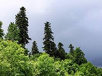 Landscape. Beautiful types of the nature in the photo [IBR124200551]