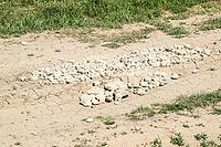 Pits on the road are filled with stones. Quarry stone [IBR124200558]