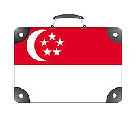 Singapore country flag in the form of a travel suitcase on a white background - illustration [IBR124351710]