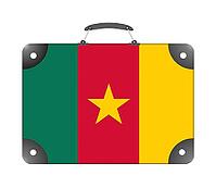 Cameroon country flag in the form of a travel suitcase on a white background - illustration [IBR124351713]