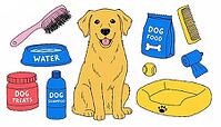 A cheerful golden dog illustration surrounded by pet supplies water bowl, food bag, treats, shampoo, brush, bed and toys, conveying grooming, feeding, care and playful ai generated [IBR124458835]