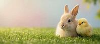 Cute baby bunny and yellow chick sitting together on fresh green grass with morning dew and soft pastel background, natural spring scene with copy space for Easter greeting card or banner design, AI generated [IBR124458839]