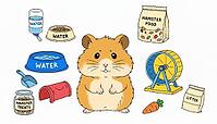 Adorable illustrated hamster with pet care items including a running wheel, food bag, water dishes, bedding, litter and treats, colorful cartoon style ideal for pet, small animal and care content, ai generated [IBR124458876]