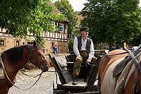 Living History Event at the Hohenloher Open Air Museum, Hohenlohe, Wackershofen, Carriage, Horse, Farmer's Village, Farmermuseum, Country Life, Rural, Swabian-Franconian Forest nature park Park, Schwäbisch Hall, Hohenlohe, Germany [IBR124469143]