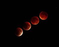 A stunning time-lapse sequence captures the stages of a total lunar eclipse, also known as a blood moon, showcasing the moon's transformation [IBR124491547]