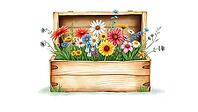 Wooden box full of colorful flowers, natural and rustic atmosphere, vivid, nostalgic watercolor painting with pastel flowers on a white background, in rustic style, AI generated [IBR124494082]