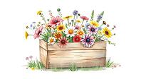 Wild flowers in a wooden box, cheerful atmosphere, lively colorful display, nostalgic watercolor painting with pastel flowers on a white background, in rustic style, AI generated [IBR124494102]