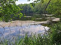 Böbereckensee on the Rheinsberg Lake District, Rheinsberg, Brandenburg, Germany [IBR124494884]